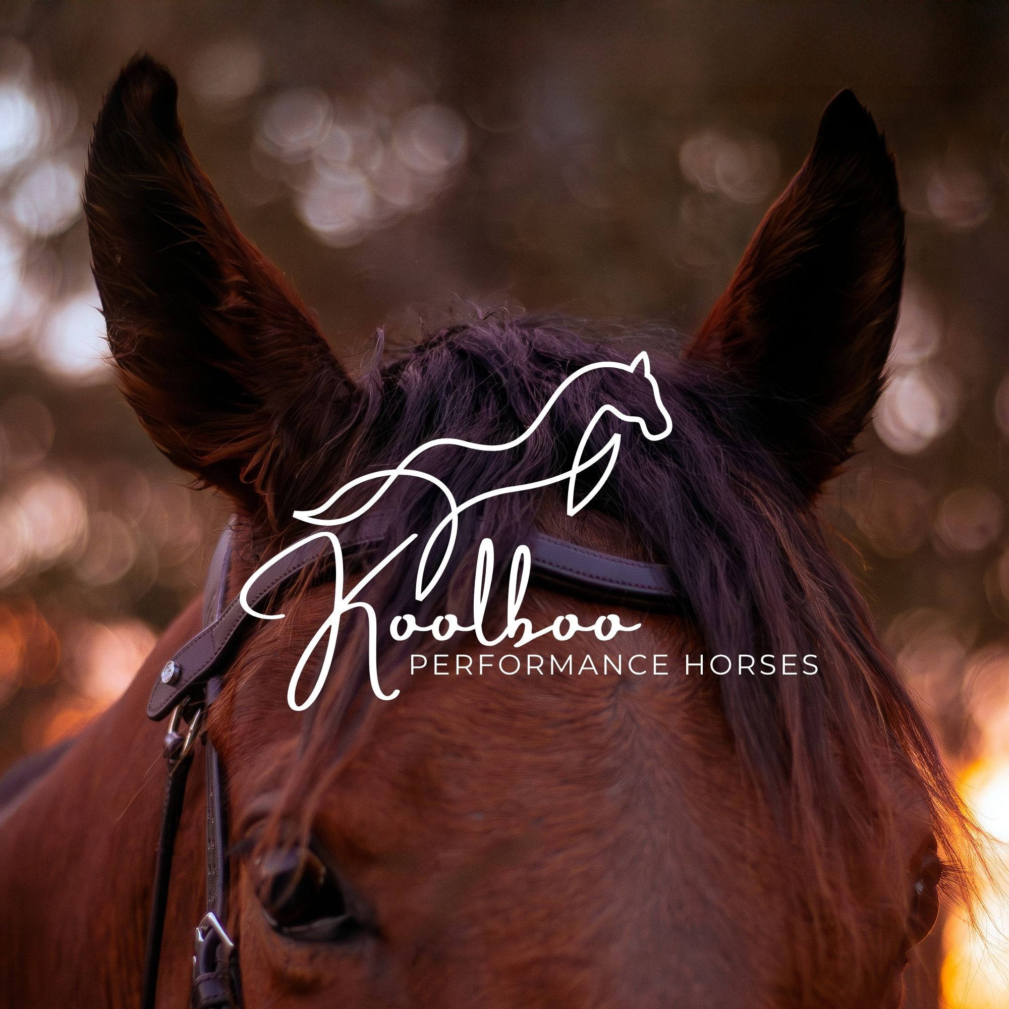 Koolboo Performance Horses logo