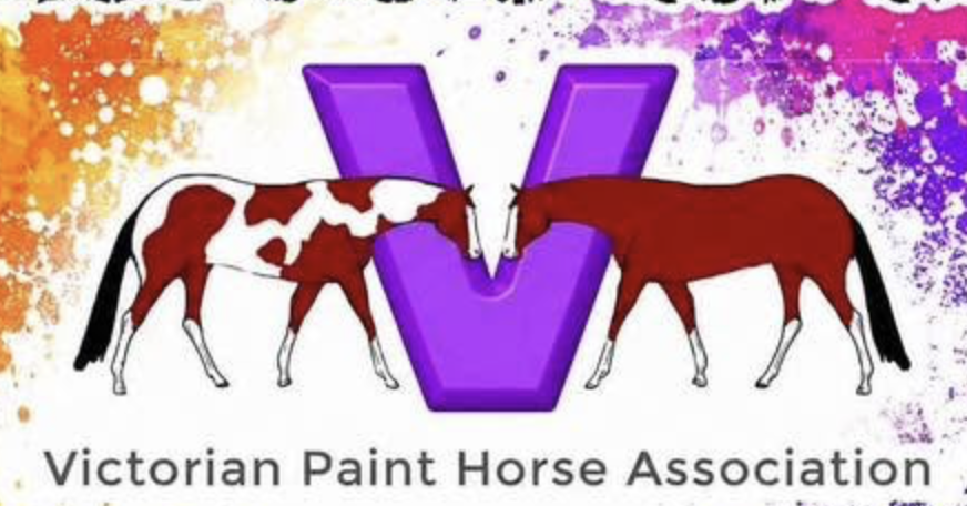 The Victorian Paint Horse Association Inc. organisation logo