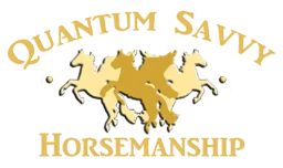 Quantum Savvy Horsemanship logo